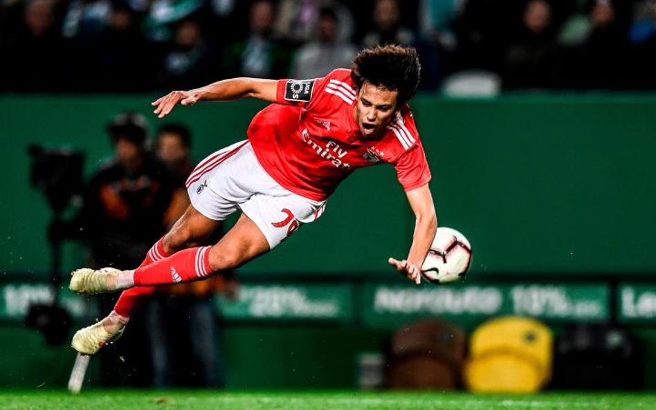 Joao Felix już w pierwszym sezonie w Benfice zdobył 20 bramek i zaliczył 11 asyst