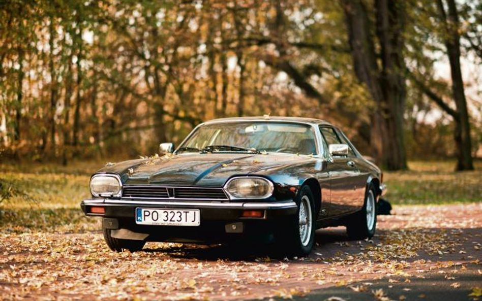 Wydawało się, że zastępując piękność w rodzaju Jaguara E-Type, XJ-S nie miał łatwego zadania, ale po