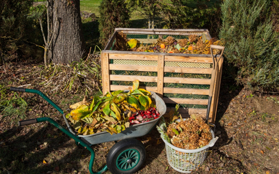 Zwolnienie z części opłaty za śmieci zależy od kompostowania bioodpadów