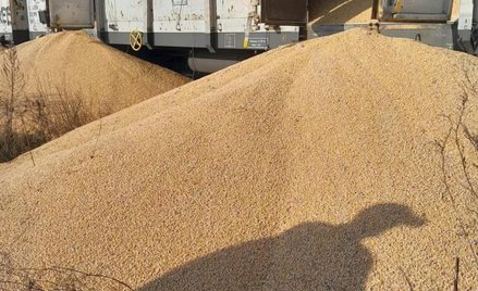 Tym razem wysypano ok.180 ton ukraińskiej kukurydzy