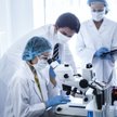 Polska: Pandemia zwiększyła poziom zaufania do nauki