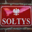 Prawo do głosowania w sprawach sołectwa: ważny stały pobyt, a nie meldunek - wyrok WSA