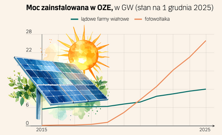 Zielone strefy rozwoju OZE miały dać tani prąd. Blokada sieci utrudni plany rządu