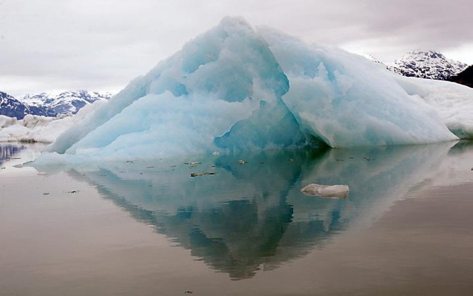 fot. James Balog