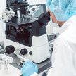 Kanadyjscy naukowcy zbadali wpływ THC zawartego w marihuanie na komórki jajowe i zarodki / zdjęcie i