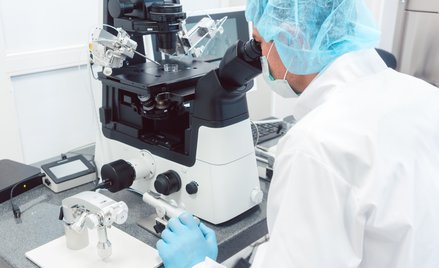 Kanadyjscy naukowcy zbadali wpływ THC zawartego w marihuanie na komórki jajowe i zarodki / zdjęcie i