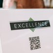 Koszty Excellence