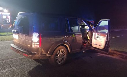 Na A1 pod Łodzią po zderzeniu z łosiem ucierpiały dwie osoby. Zwierzę nie przeżyło.