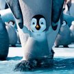 Tupot małych stóp 2 – recenzja animacji o pingwinach