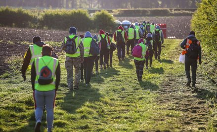 Brytyjscy farmerzy będą potrzebować tysięcy pracowników sezonowych