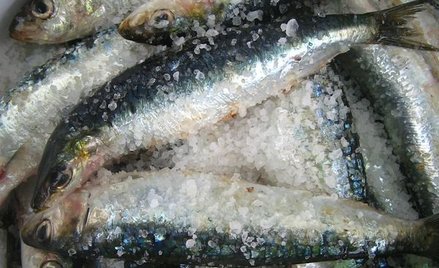 Mrożone ryby i owoce morza - kontrola IH