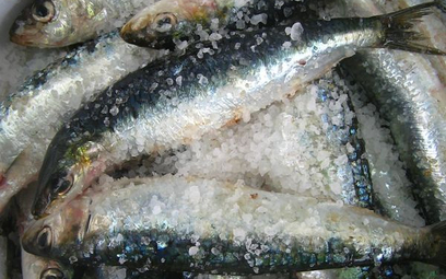 Mrożone ryby i owoce morza - kontrola IH