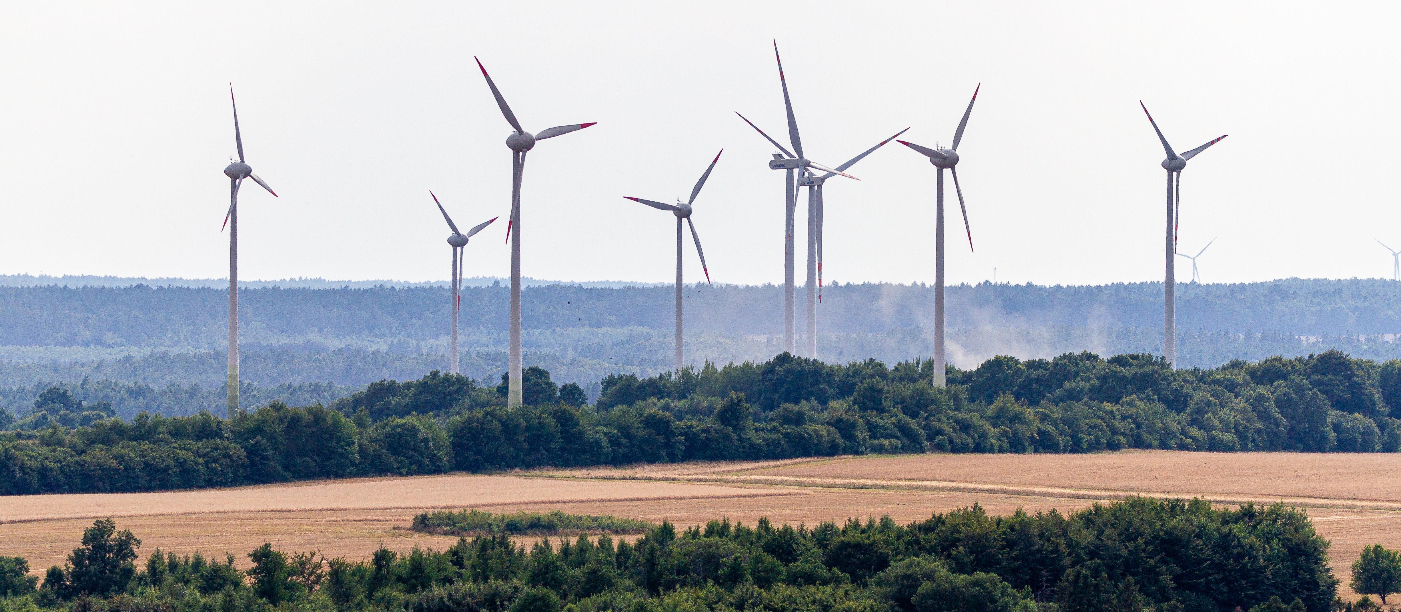 Aktywistki klimatyczne: Przestańmy hamować, zacznijmy inwestować w silny polski przemysł
