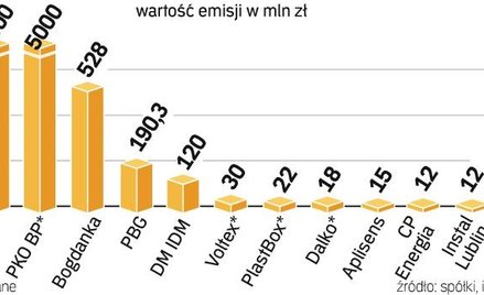 Wartość emisji może sięgnąć w tym roku 11 mld zł. Niemal za całą tę kwotę odpowiadają spółki kontrol