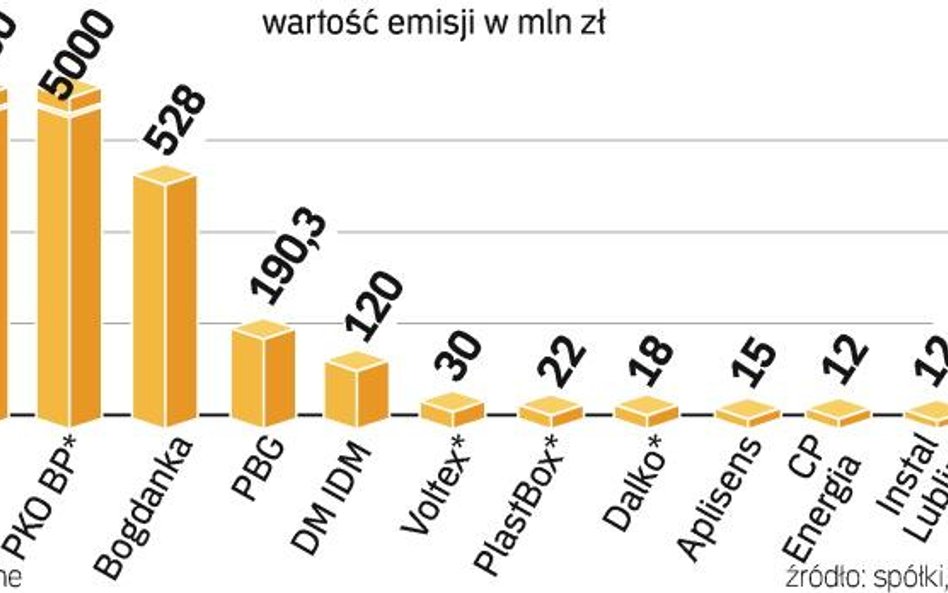 Wartość emisji może sięgnąć w tym roku 11 mld zł. Niemal za całą tę kwotę odpowiadają spółki kontrol