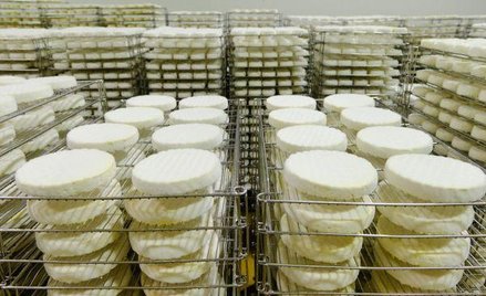 Milkiland: Akcjonariusze realizują zyski