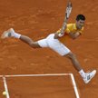 Novak Djoković w tym roku przegrał dwa mecze, wygrał 30