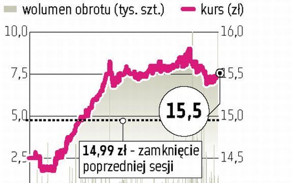 Cersanit Kredyty i forwardy przyczyną straty netto