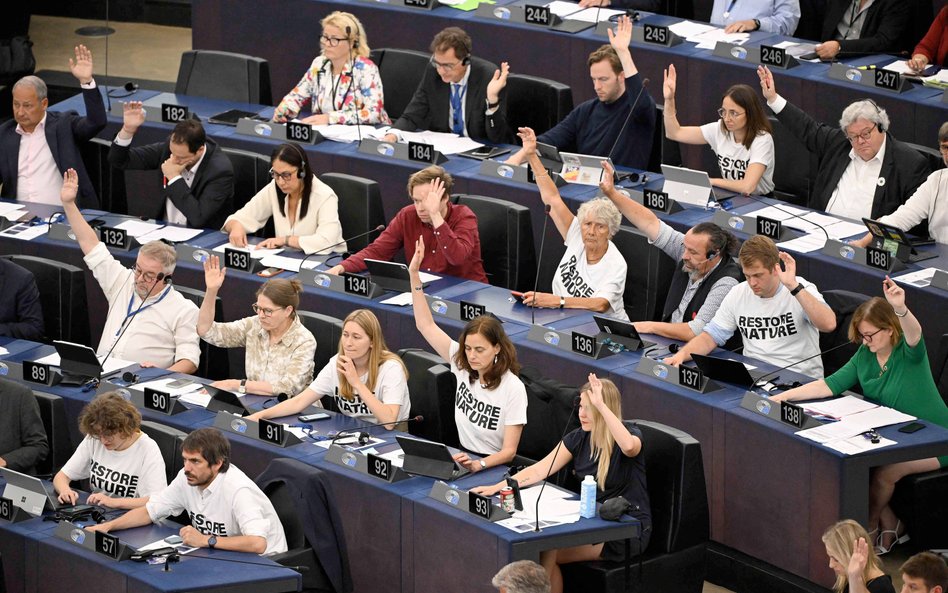 Przeciwko rozporządzeniu głosowali europosłowie pochodzący zarówno z PiS, jak i z PO czy PSL, za był