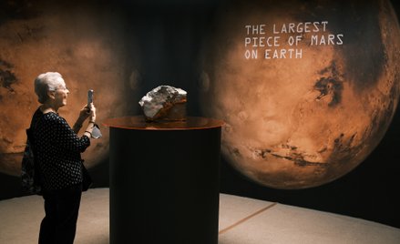 Meteoryt NWA 16788 waży 24,5 kilograma.