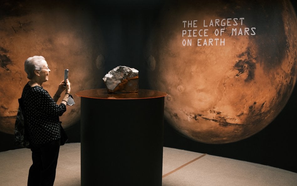 Meteoryt NWA 16788 waży 24,5 kilograma.