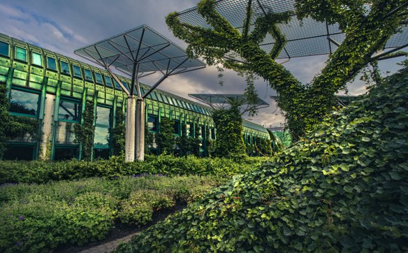 Ogród Biblioteki Uniwersyteckiej