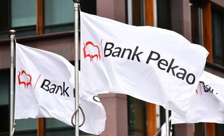 BFG: 193 mln zł dotacji dla Pekao w zw. z przejęciem Idea Banku