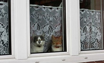 Ulga dla dziedziczących mieszkania