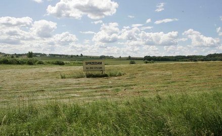 Ogłoszenia o przetargach gmin na zbycie gruntu będą tańsze. Nie trzeba będzie podawać wszystkich inf
