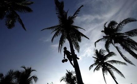 Woda kokosowa zdobywa rynek