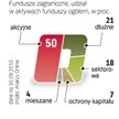 Inwestycje za granicą głównie w akcje