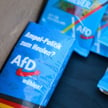 AfD po wyborach będzie drugą siłą w Niemczech - wskazują sondaże