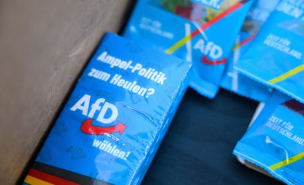 AfD po wyborach będzie drugą siłą w Niemczech - wskazują sondaże