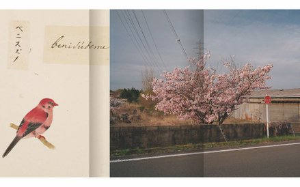 Antoinette de Jong & Robert  Knoth, Drzewo i ziemia