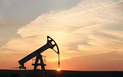 Baryłka ropy naftowej może kosztować nawet 20 dolarów – przekonuje Nariman Behravesh, główny ekonomi