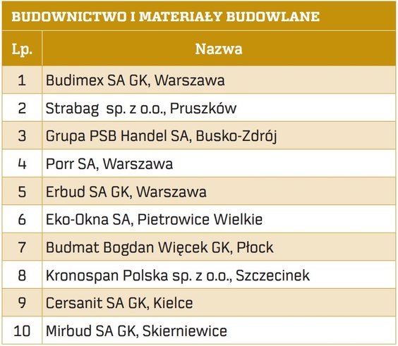 Źródło: ankiety, sprawozdania finansowe, Dun&Bradstreet. Opracowanie anna.ogonowska@rp.pl