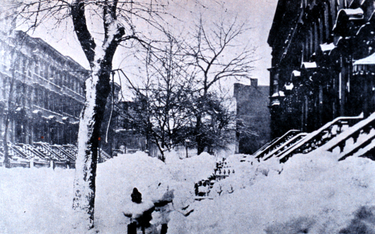 Ulice nowojorskiego Brooklynu pokryte grubą warstwą śniegu. To zdjęcie wykonano 14 marca 1888 r., ki