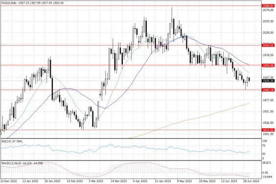 Notowania złota – dane dzienne