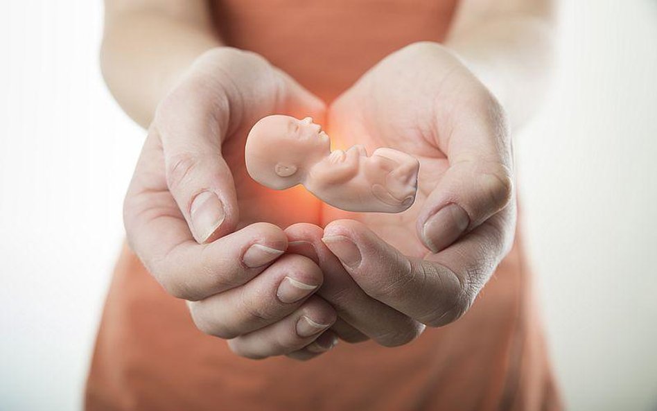 Ordo Iuris przedstawiło projekt ustawy ws. sprzeciwu sumienia