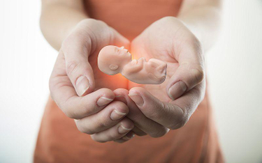 Nie regulować, ale chronić życie ludzkie - Barbara Klimczyk o aborcji