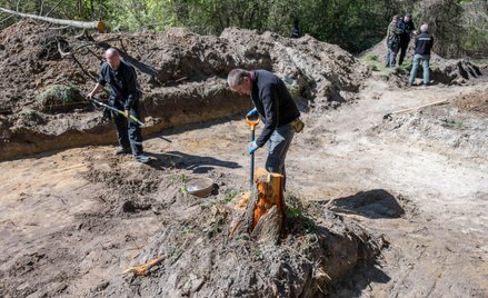 Wola Ostrowiecka, 22 kwietnia 2026 r. Prace poszukiwawcze na terenie Woli Ostrowieckiej na Wołyniu. 
