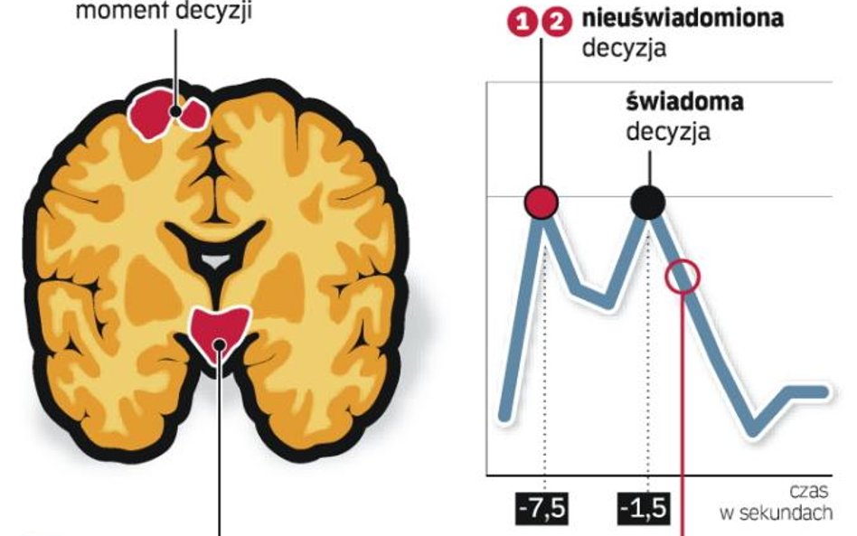 Mózg przewiduje nasze decyzje