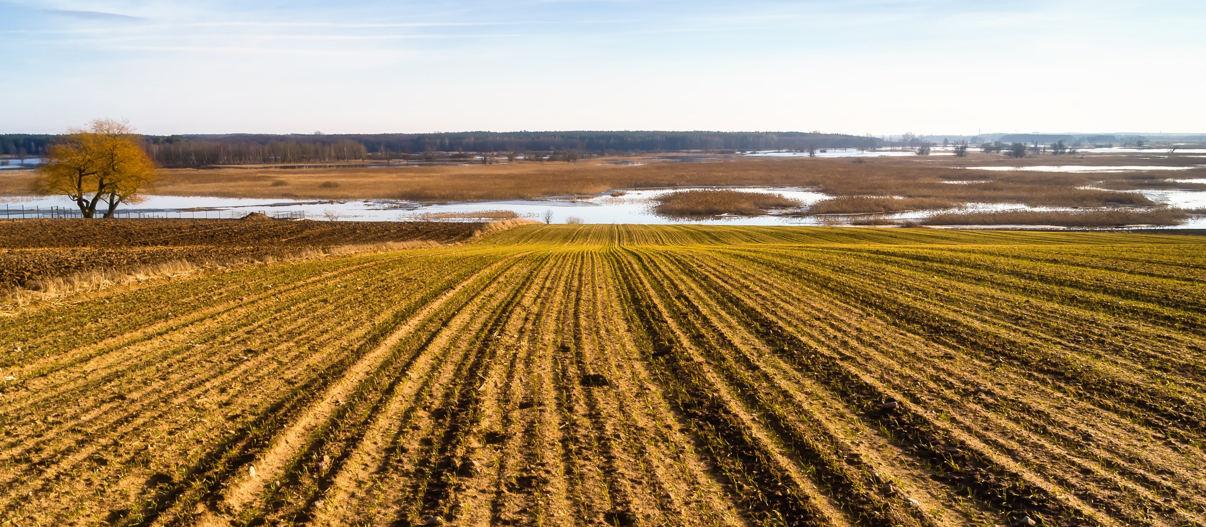 Nadchodzi wiosna. choćby 18 stopni Celsjusza