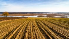 W prognozach na najbliższe dni widać nawet 18 stopni Celsjusza