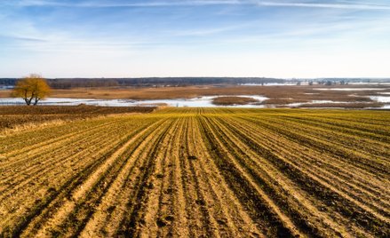 W prognozach na najbliższe dni widać nawet 18 stopni Celsjusza