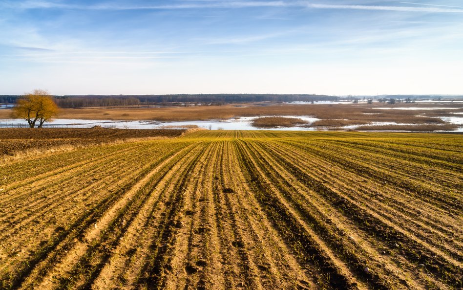 W prognozach na najbliższe dni widać nawet 18 stopni Celsjusza
