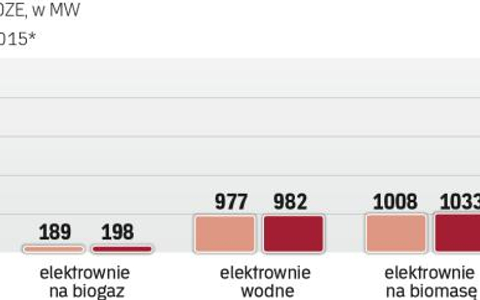 Do 2020 r. Polska musi mieć 15-proc. udział OZE w całkowitym zużyciu energii.