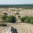 Ratunkiem dla Pustyni Błędowskiej było objęcie jej obroną jako obszar Natura 2000.