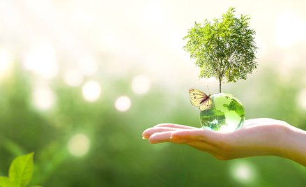 Jak mierzyć “ekologiczność”?