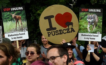 KE chce pozwać Polskę za wycinkę Puszczy Białowieskiej